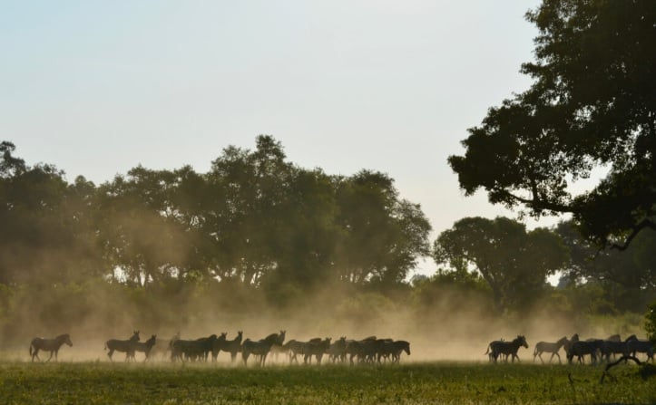 6 Day Okavango Delta Horseback Safari in Botswana